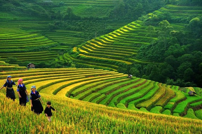Sapa Trek Tours -2D1N Stay At 3*** -TRANSFER BY SLEEPING BUS - Day 1 in Sa Pa: Cat Cat village and your first taste of village life