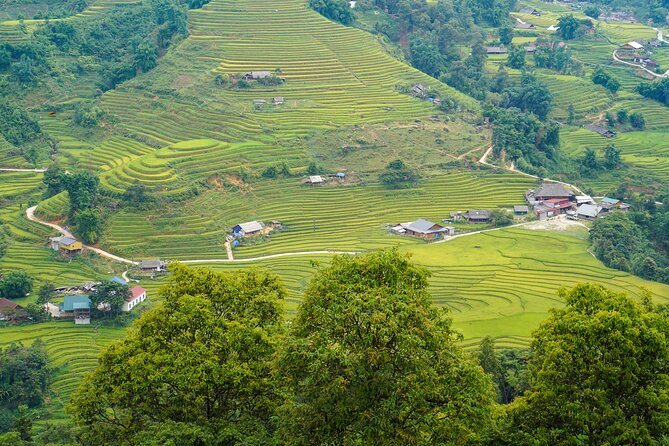 Sapa Trekking 3 Days 2 Nights (Homestay) - Departure From Hanoi - Why This Sapa Trek Feels Different Than a Sightseeing Day Trip