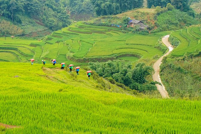 Sapa Trekking 3 Days 2 Nights (Homestay) - Departure From Hanoi - Day 1 Homestay: Ta Van Village and the Comfort Wins That Matter