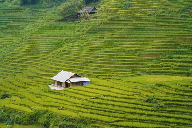 Sapa Trekking 3 Days 2 Nights (Homestay) - Departure From Hanoi - Day 2: Bamboo Forest, Waterfall Time, and Giang Ta Chai Village Life
