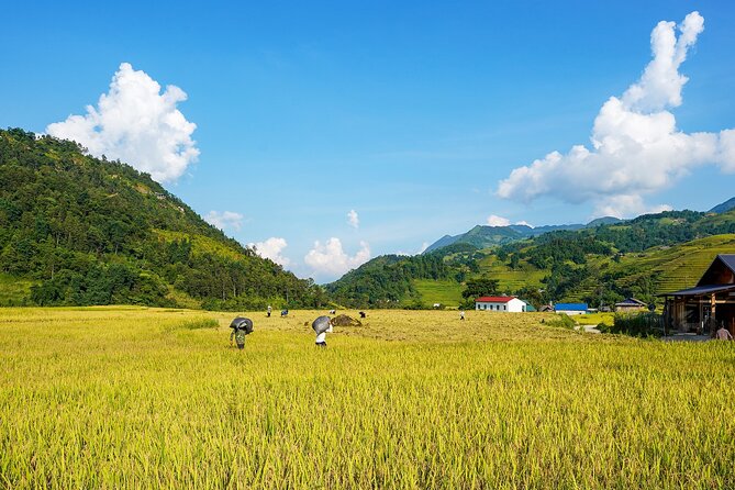 Sapa Trekking 3 Days 2 Nights (Homestay) - Departure From Hanoi - Day 2 Homestay: Giang Ta Chai and the Kind-Host Factor