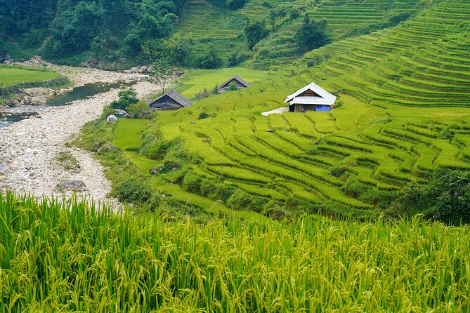 Sapa Trekking 3 Days 2 Nights (Homestay) - Departure From Hanoi - Hanoi to Sapa: The 6:30 Departure and the Bus Reality Check