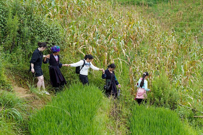 Sapa Trekking & Homestay 2 Days 1 Night - Early Hanoi pickup and the long-but-comfy ride to Sapa