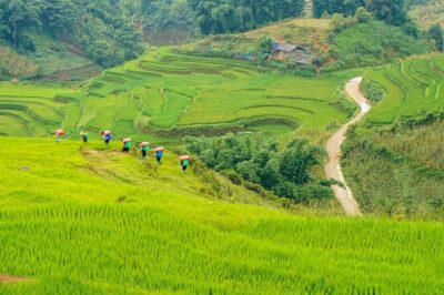 Sapa Trekking & Homestay 2 Days 1 Night - Day 2 walking circuit: Lao Chai, Ta Van, and Giang Ta Chai