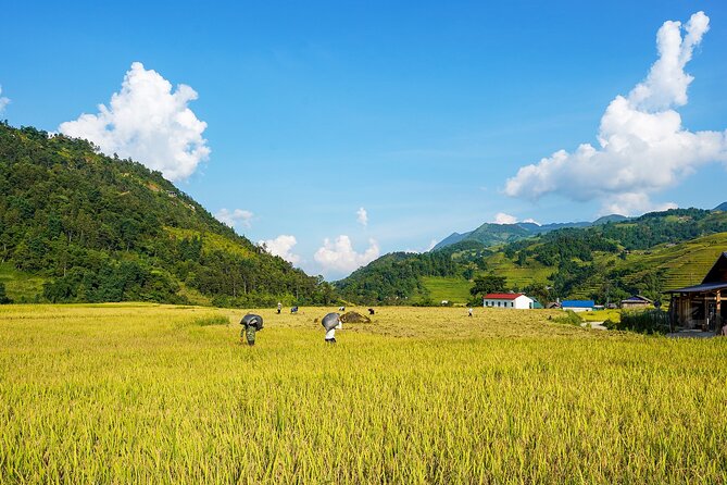 Sapa Trekking & Homestay 2 Days 1 Night - Who this trekking-and-homestay tour is best for