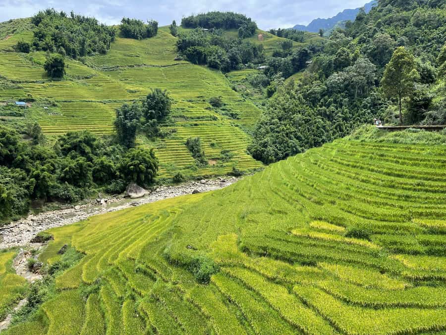 Sapa: Trekking Sapa One Day With Group Tour - Pace, weather, and what to pack for a muddy-but-beautiful day