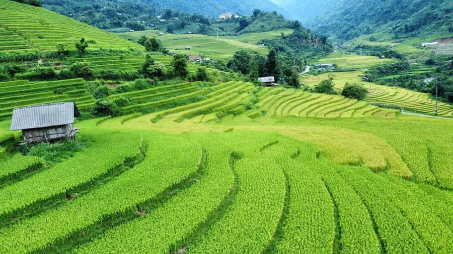 Sapa: Trekking Sapa One Day With Group Tour - Y Linh Ho village: Black Hmong homes, handwoven textiles, and real daily life