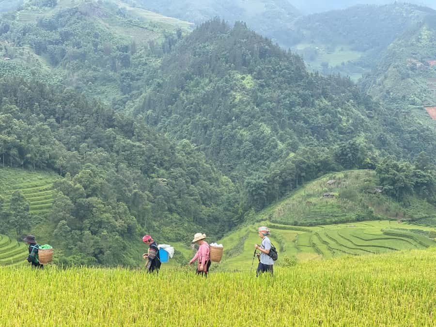 Sapa: Trekking Sapa One Day With Group Tour - Muong Hoa Valley on foot: bamboo forest, rice terraces, and a slow build