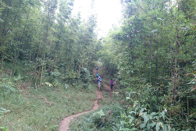 Sapa Trekking Tour - 1 day - Ta Van Giay rice terraces, suspension bridge, and rock carvings