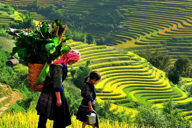 Sapa Trekking Tours - 2 Days 1 Night Stay At Homestay - Quick Key Points Before You Go