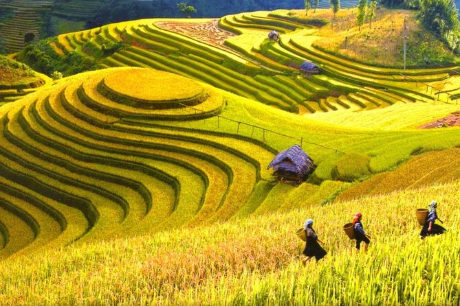 Sapa Trekking Tours - 2 Days 1 Night Stay At Homestay - Why This 2-Day Sapa Trek Feels More Like a Visit Than a Script