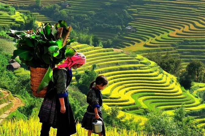 Sapa Trekking Tours - 2 Days 1 Night Stay At Homestay - Meeting the Villages on Day 2: Y Linh Ho, Lao Chai, Ta Van