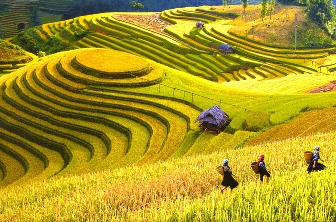 Sapa Trekking Tours - 2 Days 1 Night Stay At Homestay - Food and Pace: A Simple Plan That Keeps You Moving