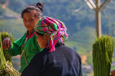 Sapa Valley Trek and Homestay - 3D2N - Day 2: Coffee and rice fields, Giang Ta Chai waterfalls, then Ban Ho with Red Dao and Tay culture