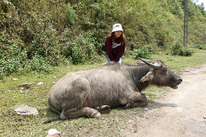 Sapa Valley Trek and Homestay - 3D2N - Why the guide makes or breaks this trek (and why names matter)