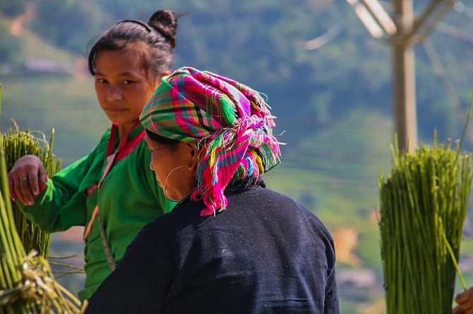 Sapa Valley Trek and Homestay - 3D2N - Day 2: Coffee and rice fields, Giang Ta Chai waterfalls, then Ban Ho with Red Dao and Tay culture