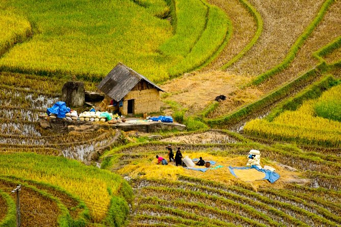 Sapa Villages trekking and homestay 2 Days/ 1 night package tour: best selling - Why This Sa Pa Village Trek Feels More Local