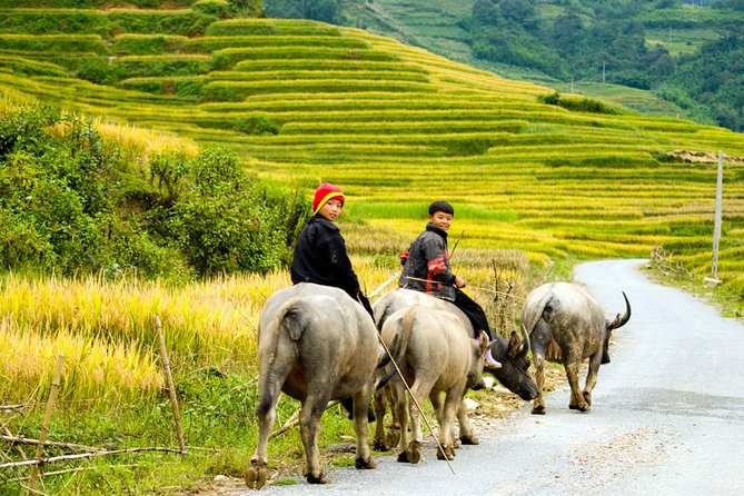 Sapa Villages trekking and homestay 2 Days/ 1 night package tour: best selling - Getting There in Sa Pa: Delta Sapa Hotel as Your Anchor Point