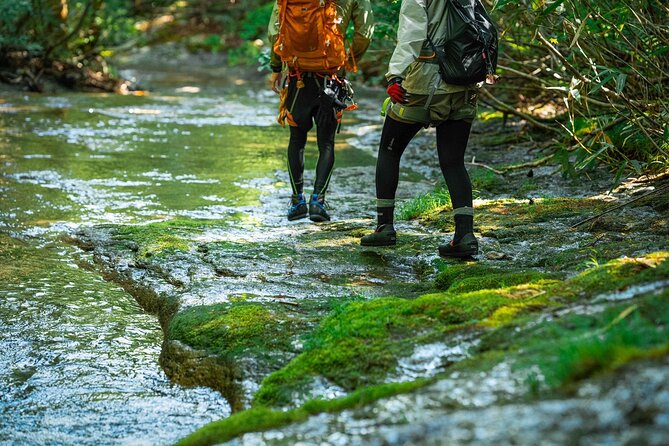 Sawanobori River Trekking Tour - Should you book the Sawanobori River Trekking Tour?