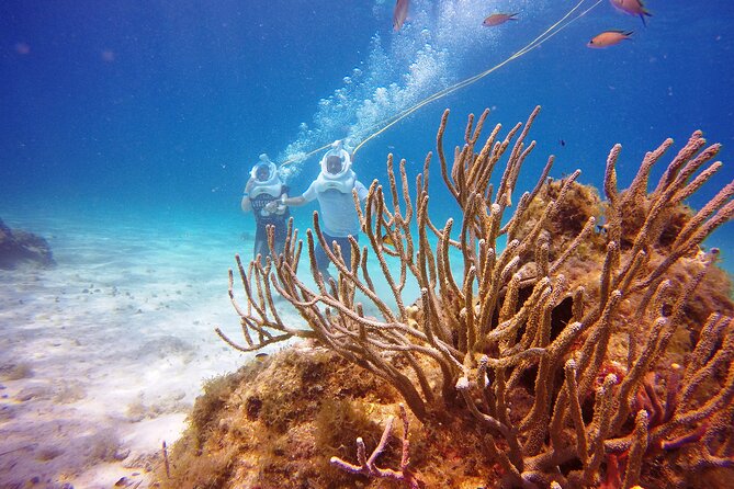 Sea Trek Adventure at Chankanaab National Park - Safety first: instruction, a guided descent, and when to speak up