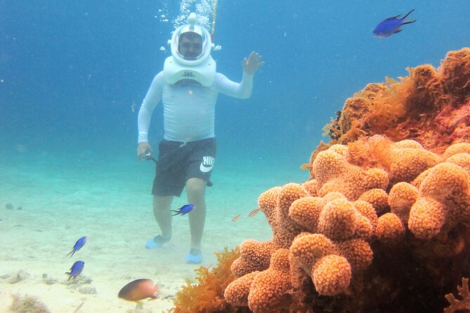 Sea Trek Adventure at Chankanaab National Park - Who this is best for (and who should consider an alternative)