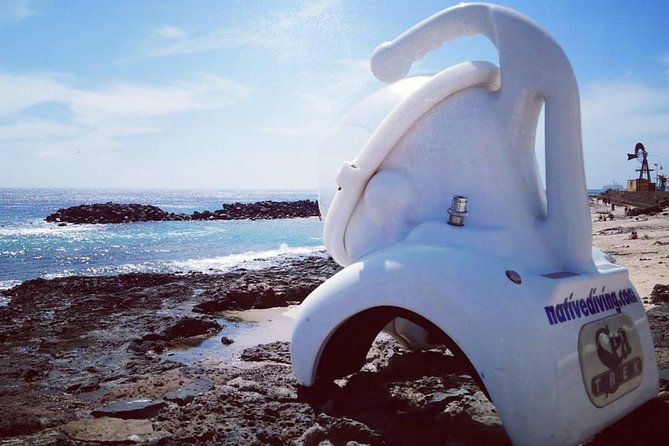 Sea Trek Diving Experience in Costa Teguise - The 40-Minute Plan: Training First, Then 30 Minutes Underwater