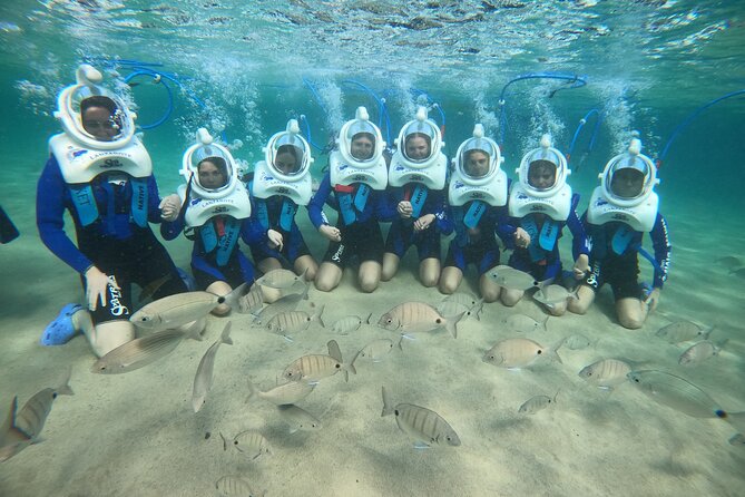 Sea Trek (exclusive in Lanzarote) - Price and value for $90.74: what’s included and what costs extra