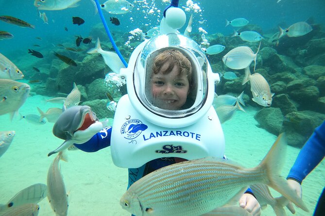 Sea Trek (exclusive in Lanzarote) - Small group of eight: guides, safety focus, and fish that seem to come close