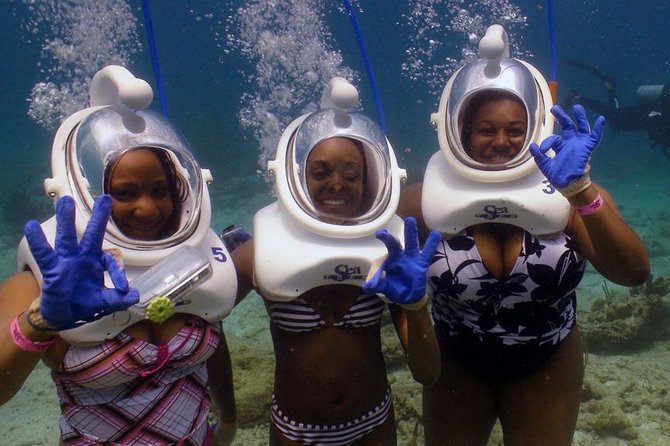 Sea Trek Helmet Dive at Coral World Ocean Park - Getting Ready on Arrival: What to Expect Before You Ever Hit the Water