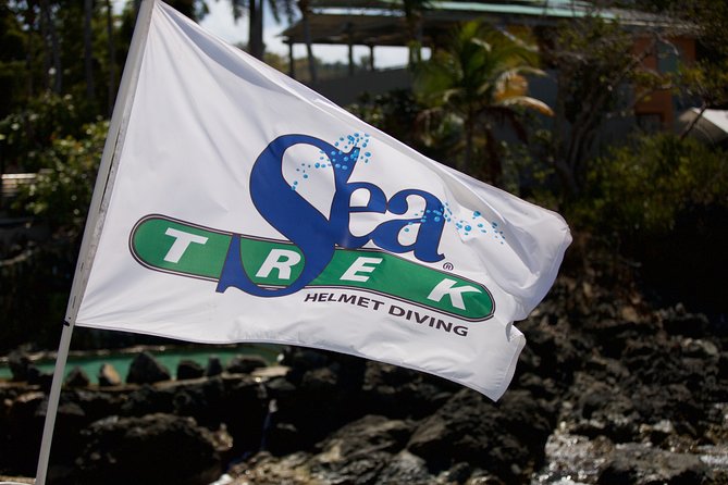 Sea Trek Helmet Dive at Coral World Ocean Park - Guides and Safety: Why This Feels More Comfortable Than You’d Expect