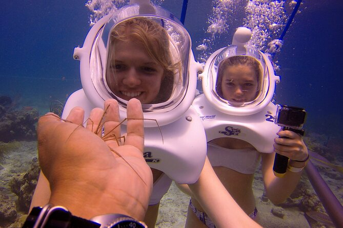 Sea Trek Helmet Dive at Coral World Ocean Park - Who This Is Best For (And Who Should Skip)