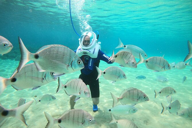 Sea Trek Underwater Walk in Tenerife – No Swimming Required - Sea Trek Underwater Walk: a rare “easy” way to see Tenerife’s seabed
