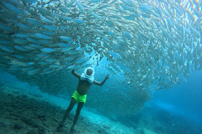 Sea Trek Underwater Walk in Tenerife – No Swimming Required - The briefing on land: how you get ready without feeling rushed