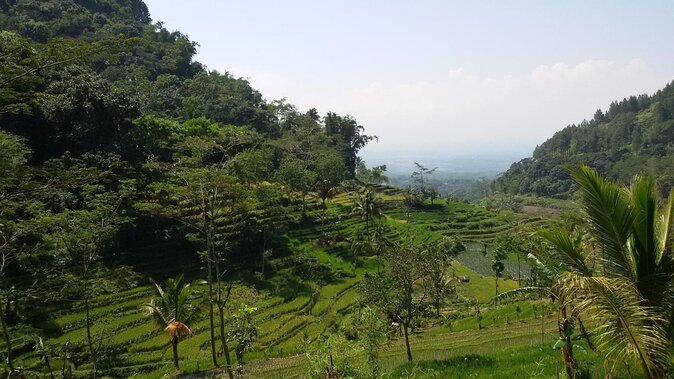 Selogriyo Temple and Trekking Java Rice Terraces, hidden waterfall -Nature Java - Key highlights worth showing up for