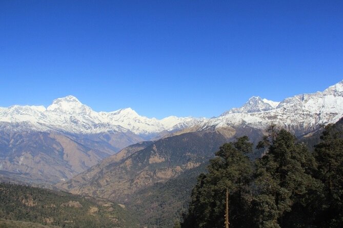Short Annapurna Base Camp Trek - 7 Days - Price and Value: What You Pay for (and What You Don’t)