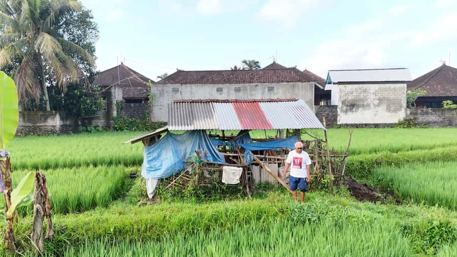 Sidemen rice terraces trek and local village walk - The “secret stop” safety briefing that sets the tone