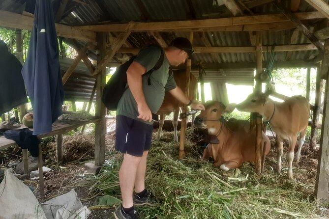 Sidemen Trekking Through Rice Terraces and Villages - Guide Quality Matters: Wayan’s Local Perspective