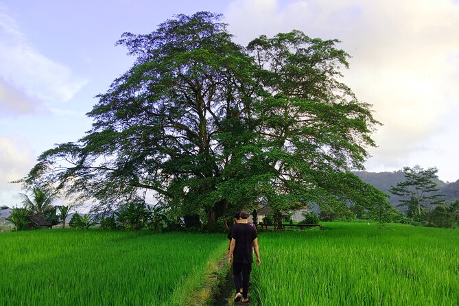 Sidemen Trekking with Cultural Encounters and Nature Views - Key things I’d prioritize before you go