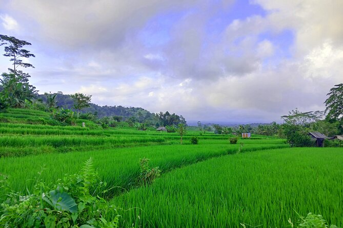 Sidemen Trekking with Cultural Encounters and Nature Views - Cepug Rice View: where you slow down again
