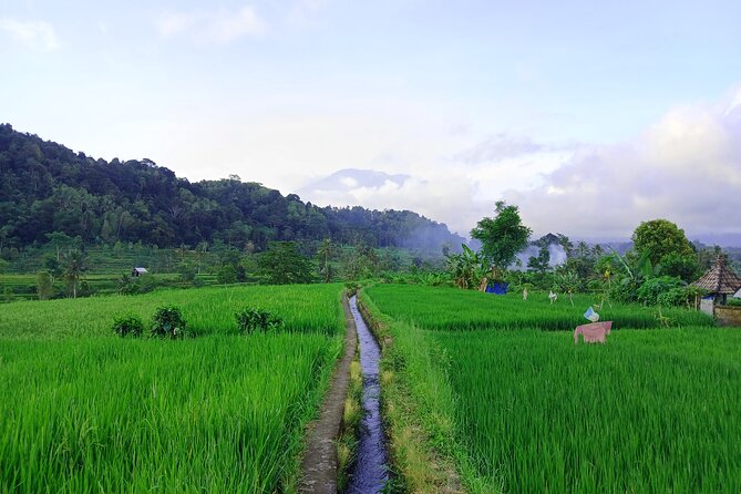 Sidemen Trekking with Cultural Encounters and Nature Views - How the 2-hour timing actually feels on the ground