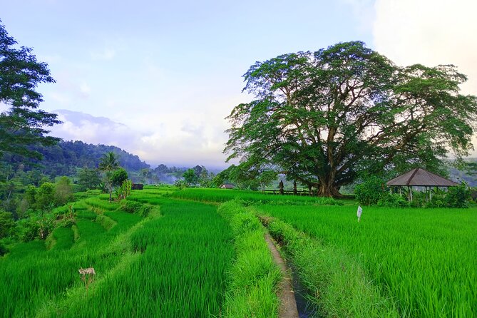 Sidemen Trekking with Cultural Encounters and Nature Views - Price and what $12.84 really buys