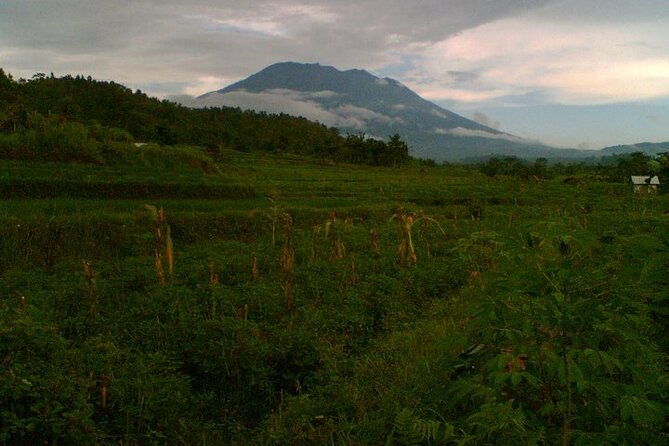 Sidemen Trekking with Cultural Encounters and Nature Views - Selisian Views: the best Mt. Agung picture window
