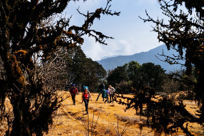 Singalila Ridge Trek from Darjeeling - 6 Days - What to pack and how to handle the “no porter” reality