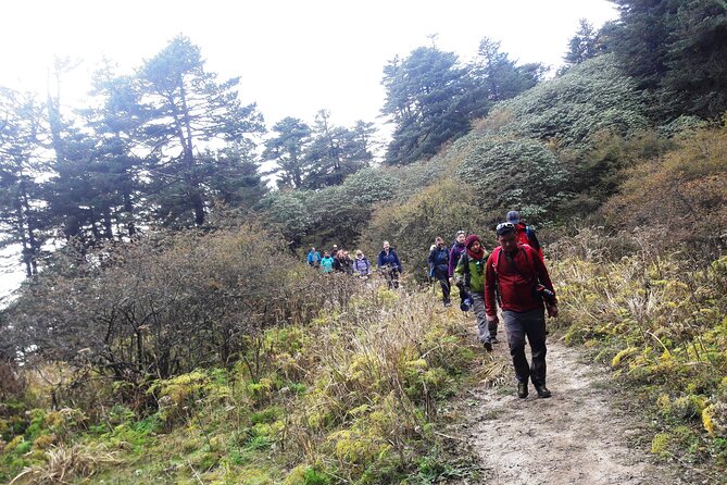 Singalila Ridge Trek from Darjeeling - 6 Days - Who this trek is best for (and who should choose differently)