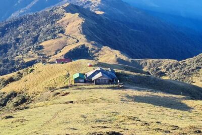 Singalila Trek from Darjeeling - Singalila National Park: where the walk turns into a nature show