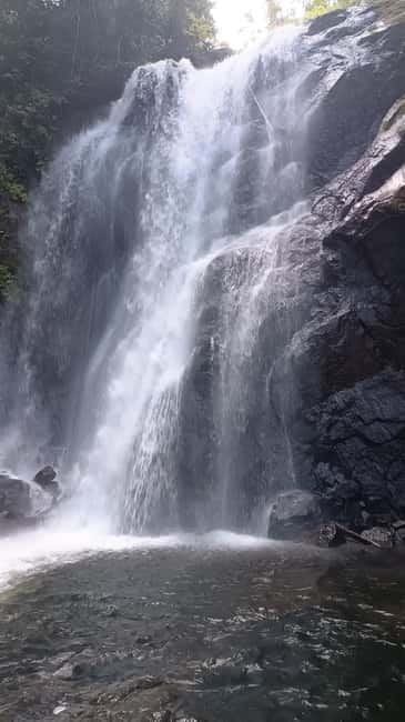 Sinharaja Rainforest: Tour with 5 Waterfalls Trek - Key things I’d zero in on