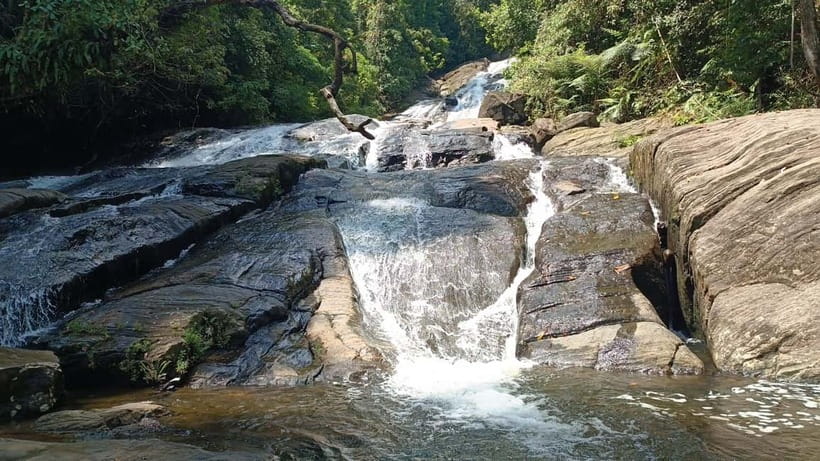 Sinharaja Rainforest: Tour with 5 Waterfalls Trek - What This 5-Waterfalls Trek Feels Like in Real Life
