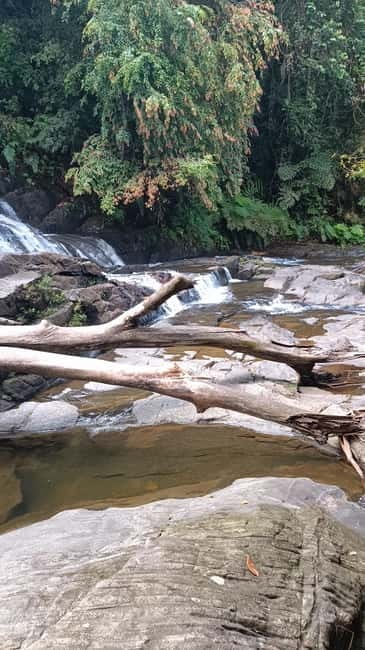 Sinharaja Rainforest: Tour with 5 Waterfalls Trek - Inside Sinharaja: How the Tracker Route Turns Stops Into a Story