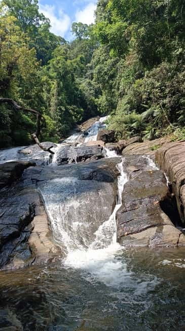 Sinharaja Rainforest: Tour with 5 Waterfalls Trek - The Five Waterfalls Plan: Stops, Water Sounds, and Swim Timing