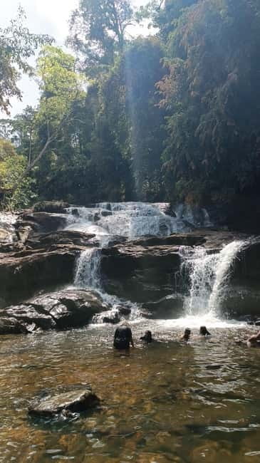 Sinharaja Rainforest: Tour with 5 Waterfalls Trek - Price and Value: Is $95 a Good Deal?